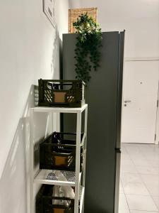 Casa Capitan Coliving Digital Nomads