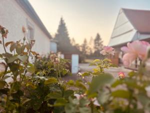 Marias Vintage Resort