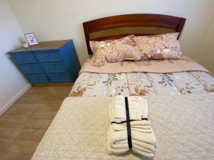 Cabaña Lago Chapo y parque Alerce Andino