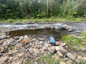Cabaña Lago Chapo y parque Alerce Andino