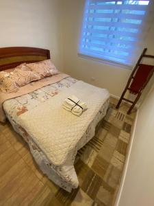 Cabaña Lago Chapo y parque Alerce Andino