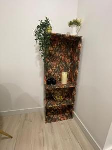 Birds Shelter & Birds Leaves