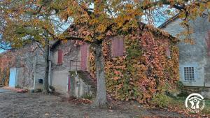 Au centre du village