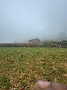 Aither Hills - Offbeat Camping Stay in Kodaikanal