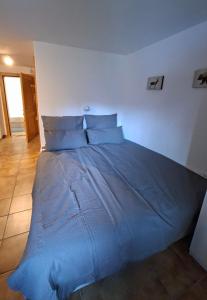 Studio Chalet Edelweiss