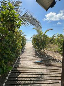 Ocean View in Ingleses - Beachfront Apt