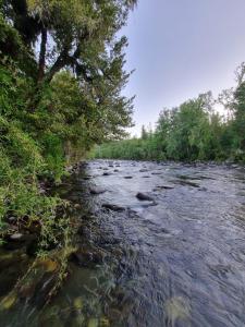 Cabaña en Panguipulli