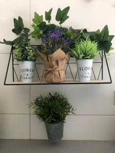 Refúgio da Serra - Cottage House