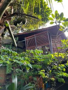 Orgánico Punta Riel