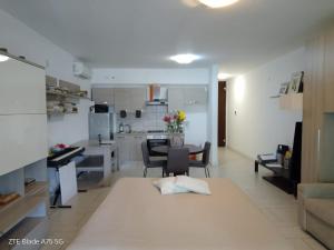 Big Modern Apartment Open Space with Terrace