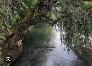 River House San Jose