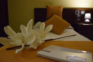 Single Room room in Hotel Complutense