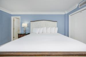 Island Winds East 501