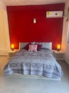 Remodeled Studios on Calle Adelita, Madera