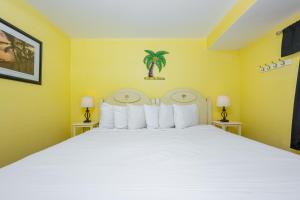 Island Winds East 404