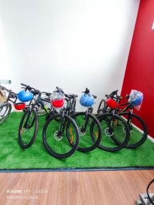 Aventura Patagonica 3