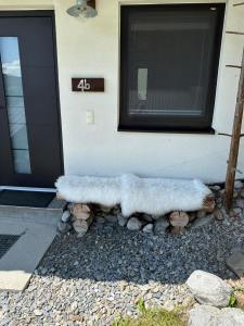 Sonnige ruhige Fewo Bergpanorama auf 1200m mit Süd Balkon