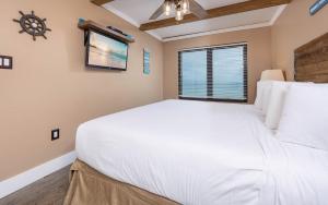 Island Winds East 702