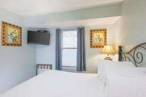 Island Winds East 705