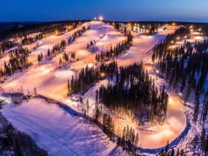 Sappee Peak Cabin - Fire, Snow & Adventure