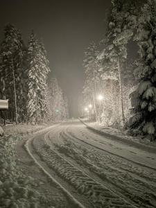 Sappee Peak Cabin - Fire, Snow & Adventure
