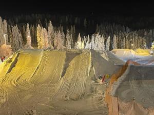 Sappee Peak Cabin - Fire, Snow & Adventure