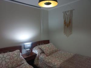 Arriendo Departamento punta puyai