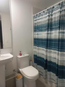 Arriendo Departamento punta puyai