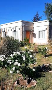 CABAÑAS DEL ANGEL