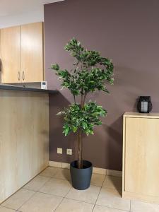 Zalig ruim appartement op 100m van het strand