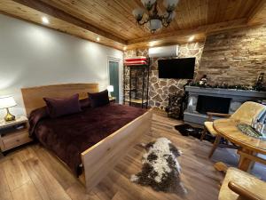 Castle Rozafa Scutari