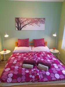 Nárcisz Vendégház