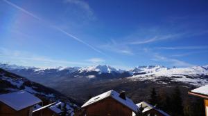 Chalet Epilobes - Chalet de charme 10 personnes à Vallandry MAE-3903