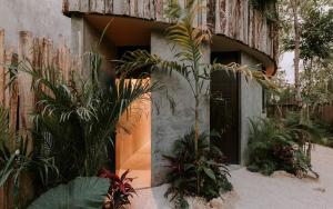 Tulum Oasis Private Pool