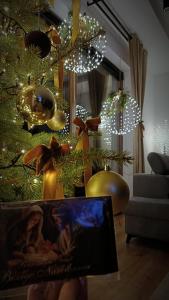 Agroturystyka u Lusi