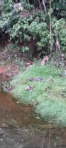 Posada del Mar Bahía Solano