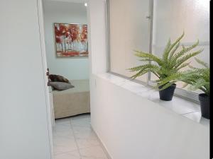 Mini departamento en Miraflores