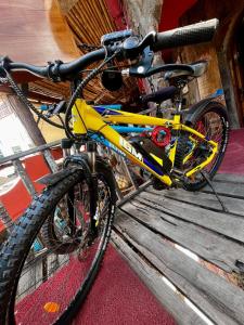 Imagination Studio Home