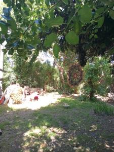 Casa amplia monoambiente estilo rústica