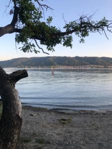 Ferienhaus Creutzig am Bodensee - für Familien und Gruppen