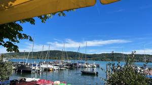 Ferienhaus Creutzig am Bodensee - für Familien und Gruppen