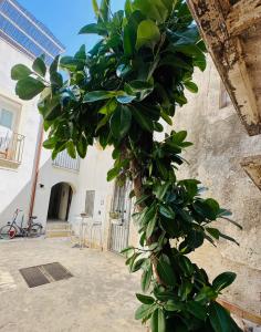 Getaway apartment in Ortigia