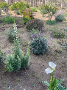 Modern apartment with pool, terrace and grill