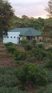Wild Night Hostel Sigiriya