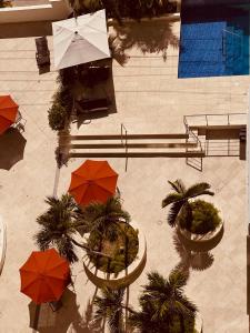 Boca Chica Luxury apartment