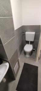 Economic flat near the Synagogue