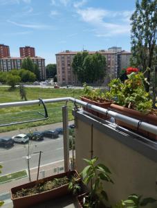 Le Betulle Apartment