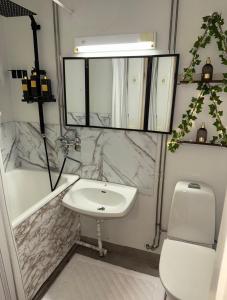 Arctic Snow Rovaniemi