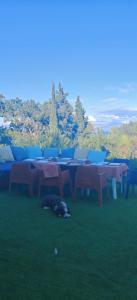 The lodge guest house