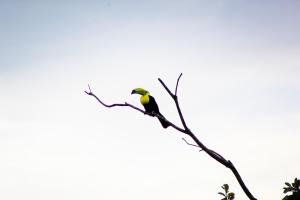 Peaceful Hillside Villa with Stunning Views